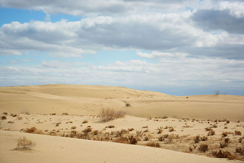 Пустыня Кызылкум
